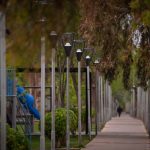 RENOVACIÓN DEL SECTOR DE PARRILLAS SOBRE RUTA 22 🌳