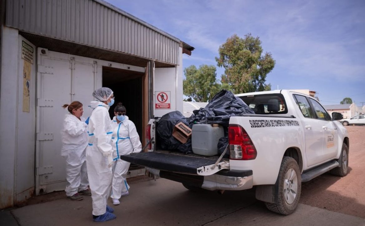 611387049_17937435726129077_4983530884832110127_n