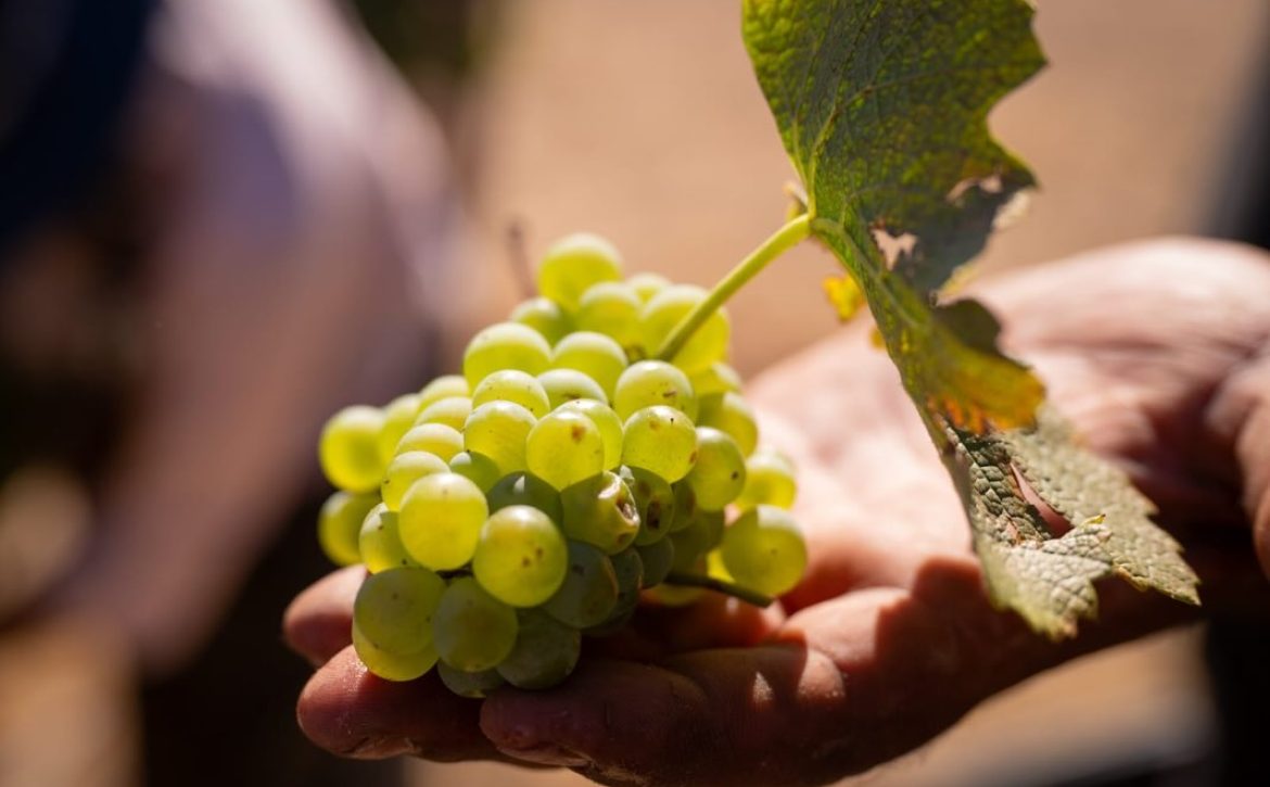 642133963_17943278163129077_2853171106191208432_n